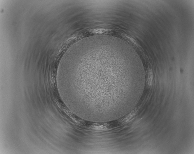 X0000057080569200509231627