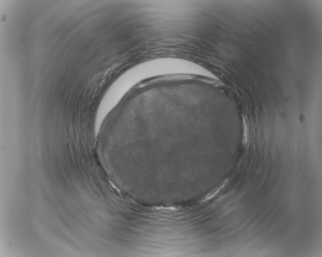 X0000057080570200509231627