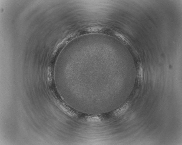 X0000057080572200509231627