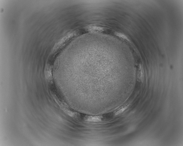 X0000057080573200509231627