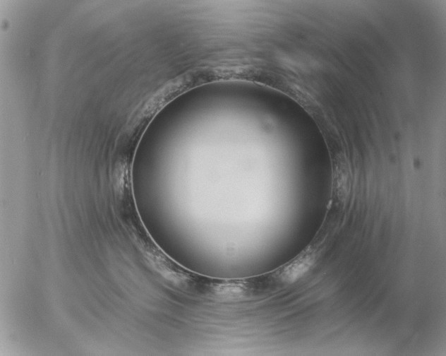 X0000057080574200509231627