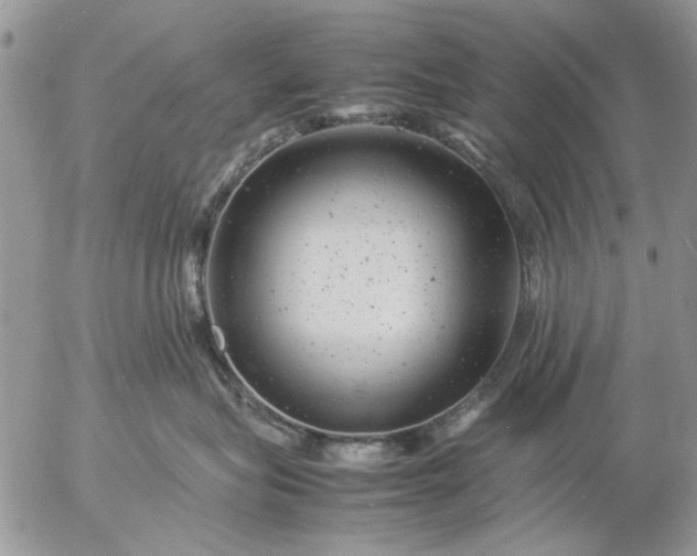 X0000057080575200509231627