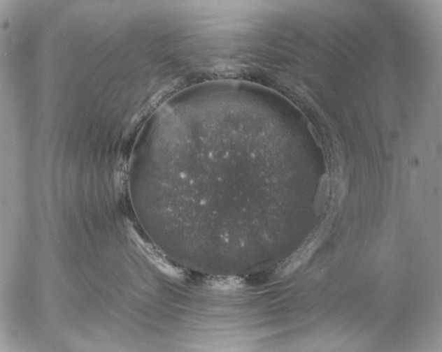 X0000057080576200509231627