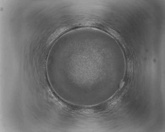 X0000057080577200509231626