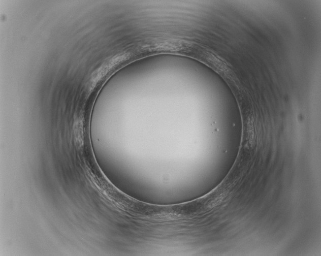 X0000057080578200509231626