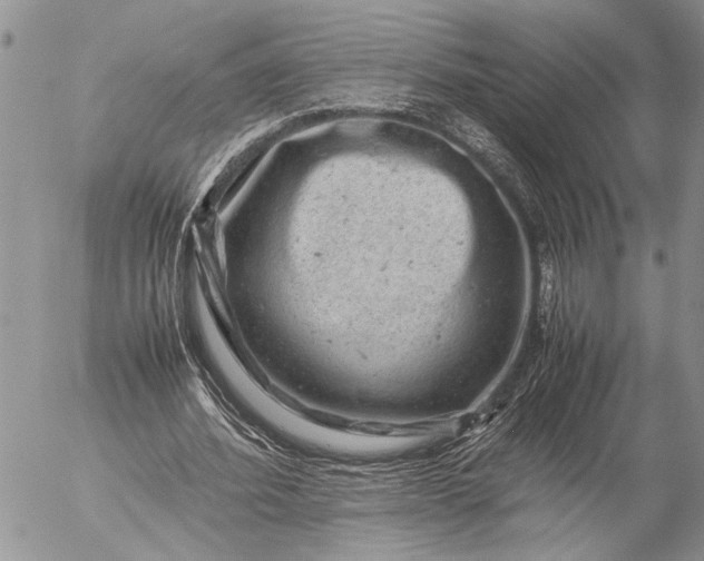 X0000057080580200509231626