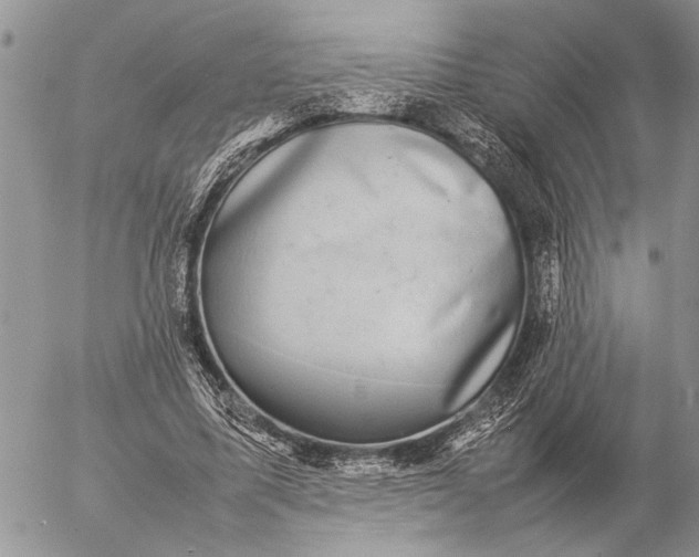 X0000057080587200509231626