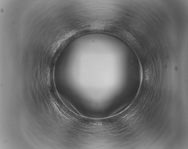 X0000057080588200509231626