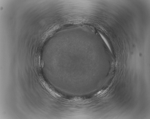 X0000057080589200509231626