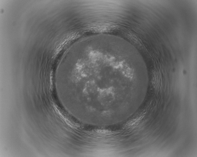 X0000057080590200509231626