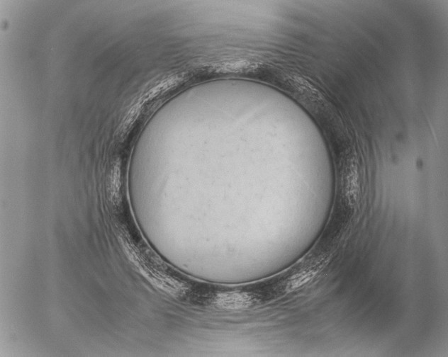 X0000057080591200509231626