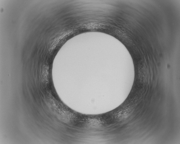 X0000057080592200509231626