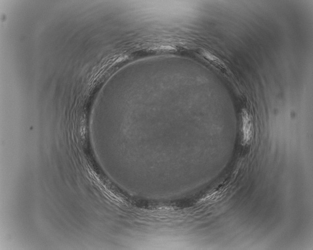 X0000057080593200509231626