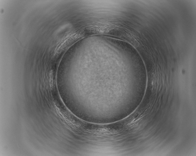 X0000057080594200509231626