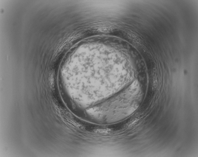 X0000057080595200509231626