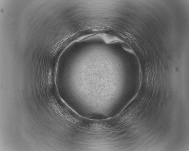 X0000057080596200509231626