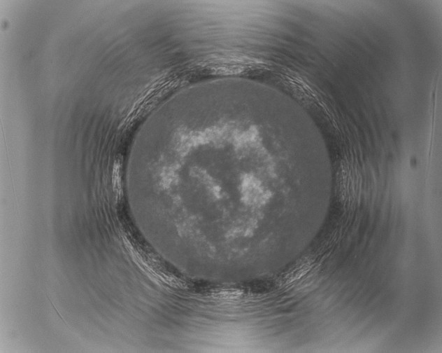 X0000057080598200509231626