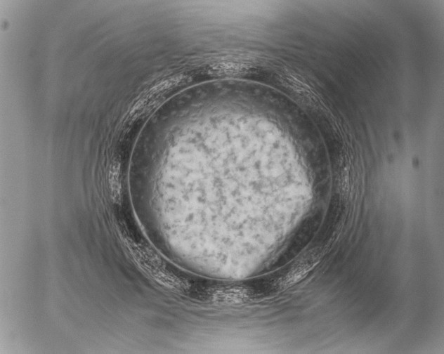 X0000057080599200509231626