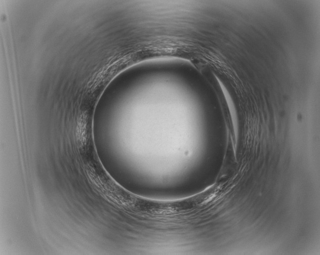 X0000057080600200509231626