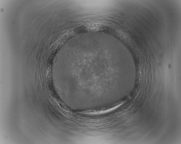 X0000057080601200509231626