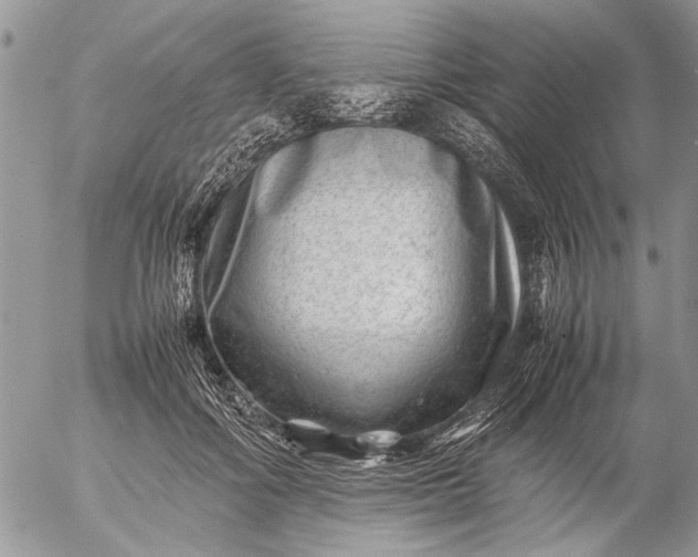 X0000057080602200509231626