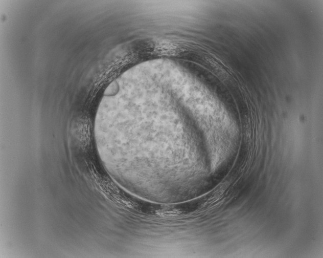 X0000057080603200509231626