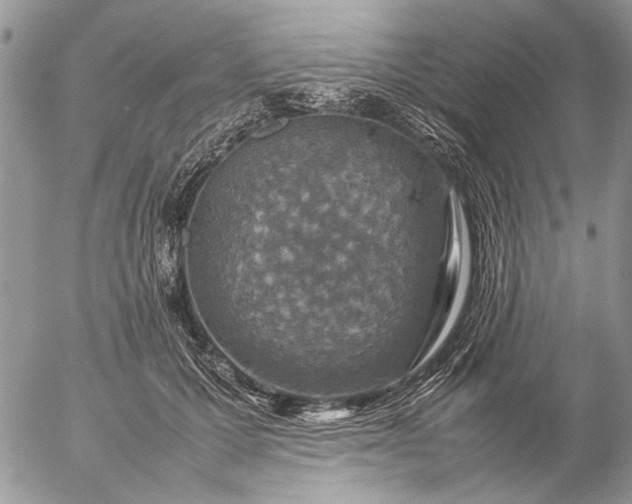 X0000057080607200509231626