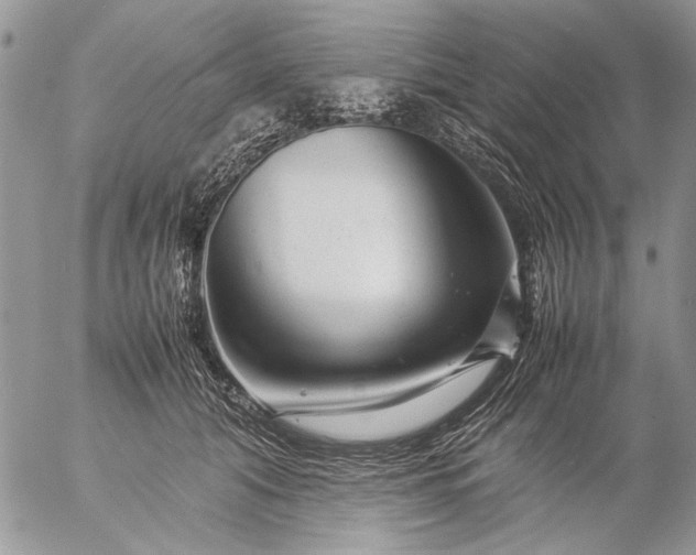 X0000057080608200509231626