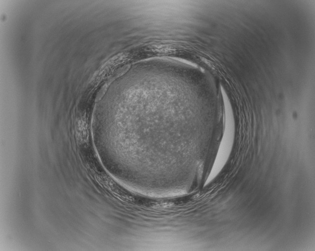 X0000057080609200509231626