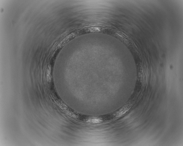 X0000057080610200509231626