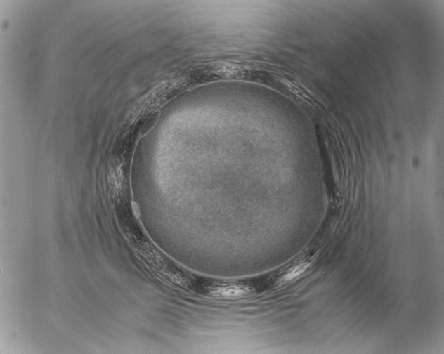 X0000057080611200509231626