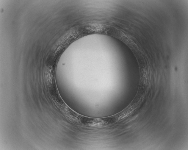 X0000057080612200509231626