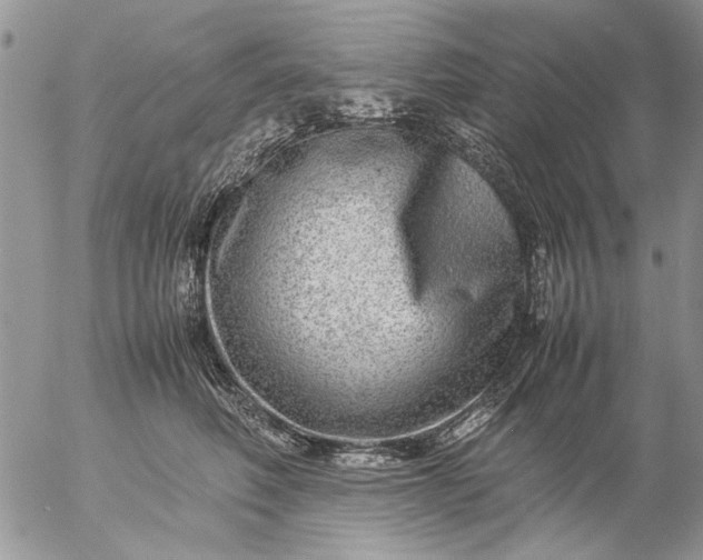 X0000057080614200509231625