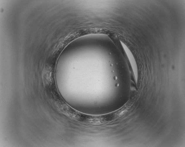 X0000057080615200509231625