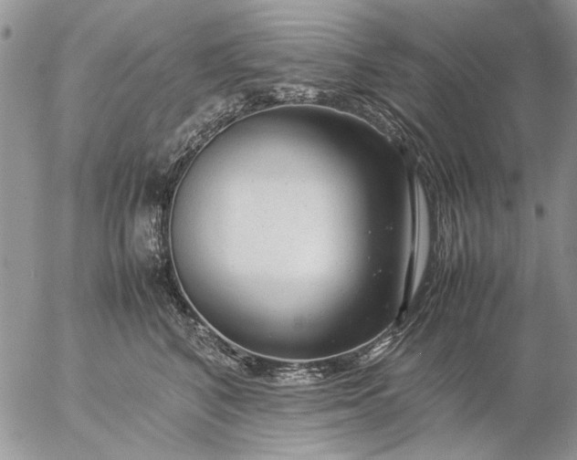 X0000057080616200509231625