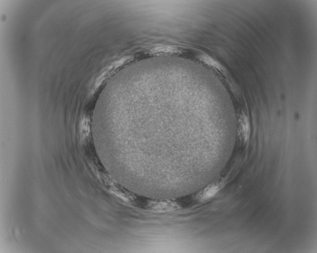 X0000057080621200509231625