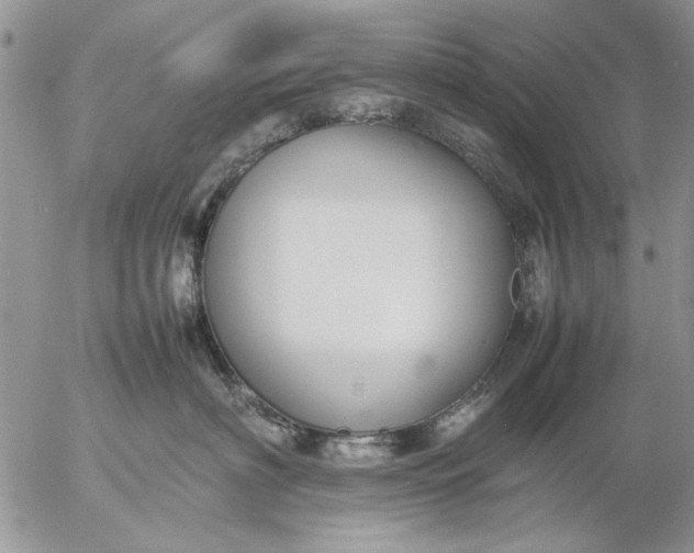 X0000057080622200509231625