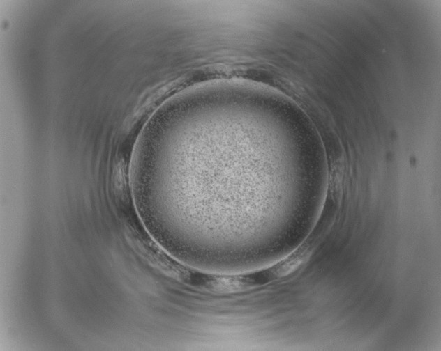 X0000057080623200509231625