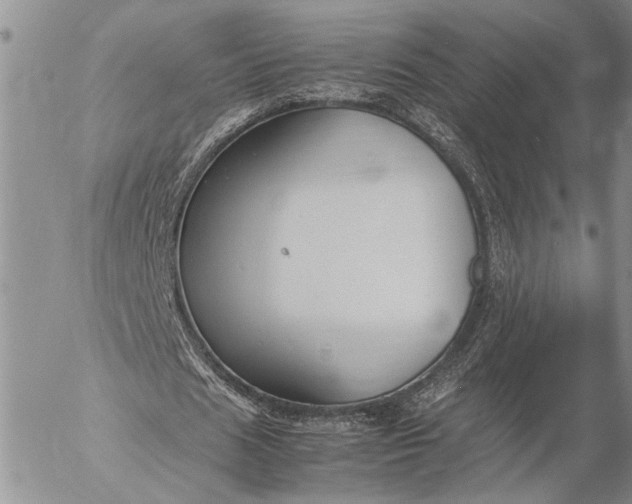 X0000057080625200509231625