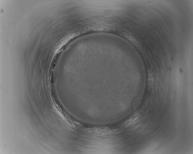 X0000057080626200509231625