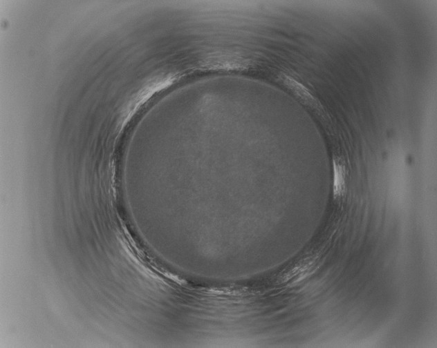 X0000057080627200509231625