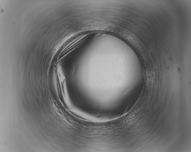 X0000057080628200509231625