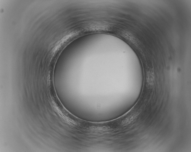 X0000057080629200509231625