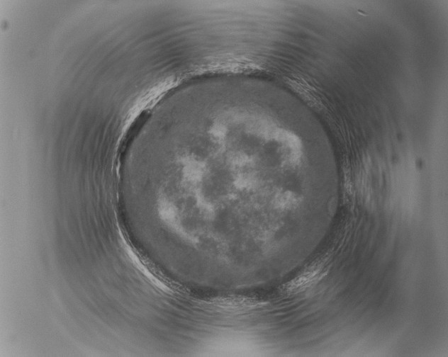 X0000057080630200509231625