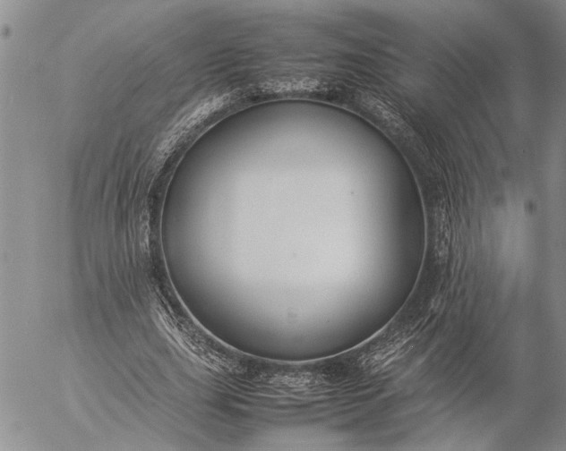 X0000057080631200509231625