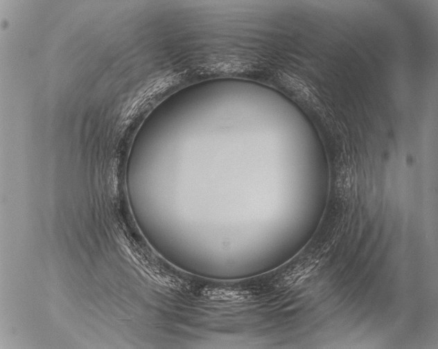 X0000057080635200509231625