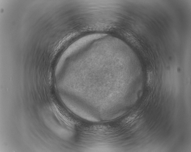 X0000057080636200509231625