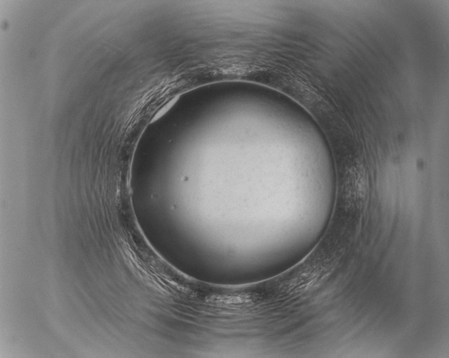 X0000057080639200509231625