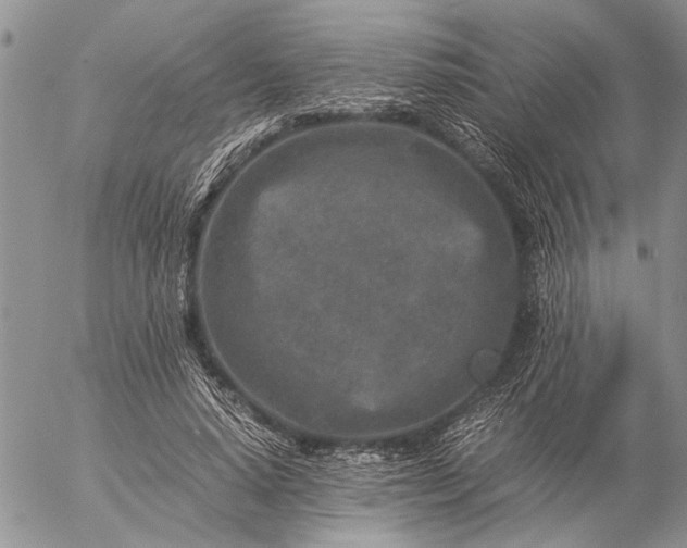 X0000057080640200509231625