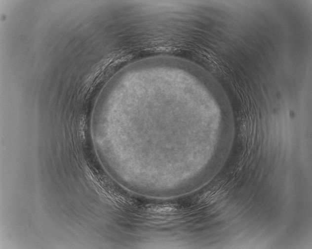 X0000057080643200509231625